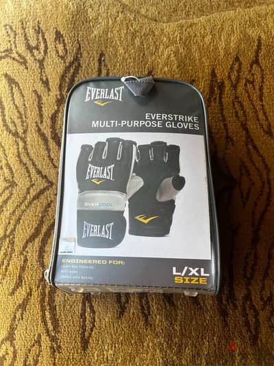 Everlast UFC Gloves