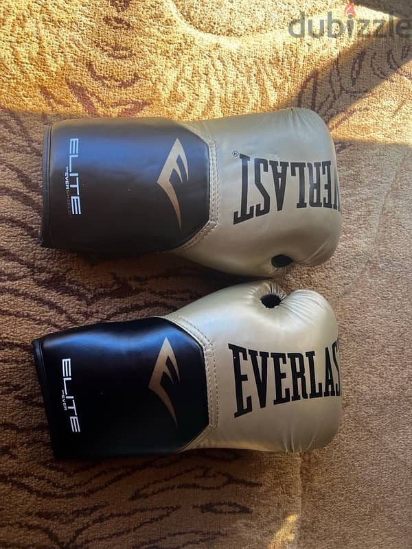 Everlast Boxing Gloves 1