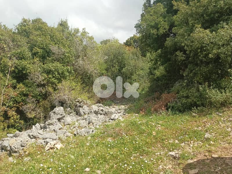 RWB157PK - Land for sale in Breij Jbeil 0
