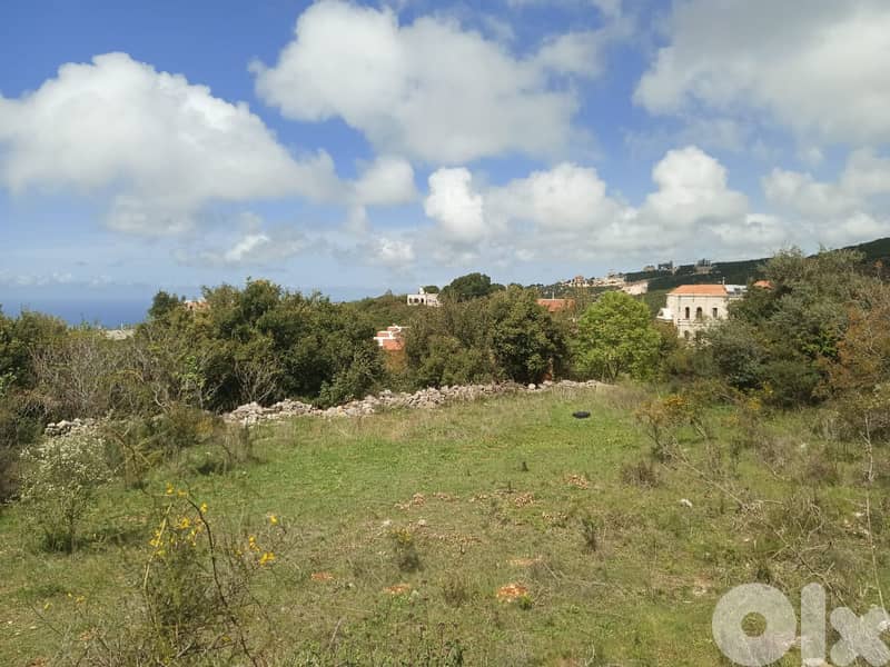 RWB157PK - Land for sale in Breij Jbeil 5