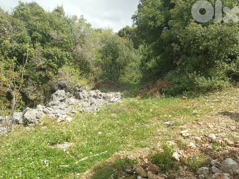 RWB157PK - Land for sale in Breij Jbeil 6