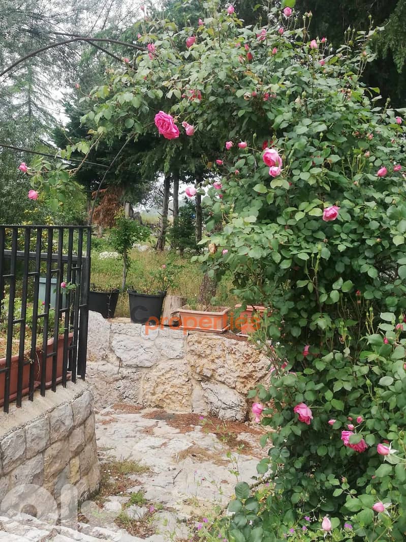 Land with an old stone house for sale in Ghineh - CPKCC21 2