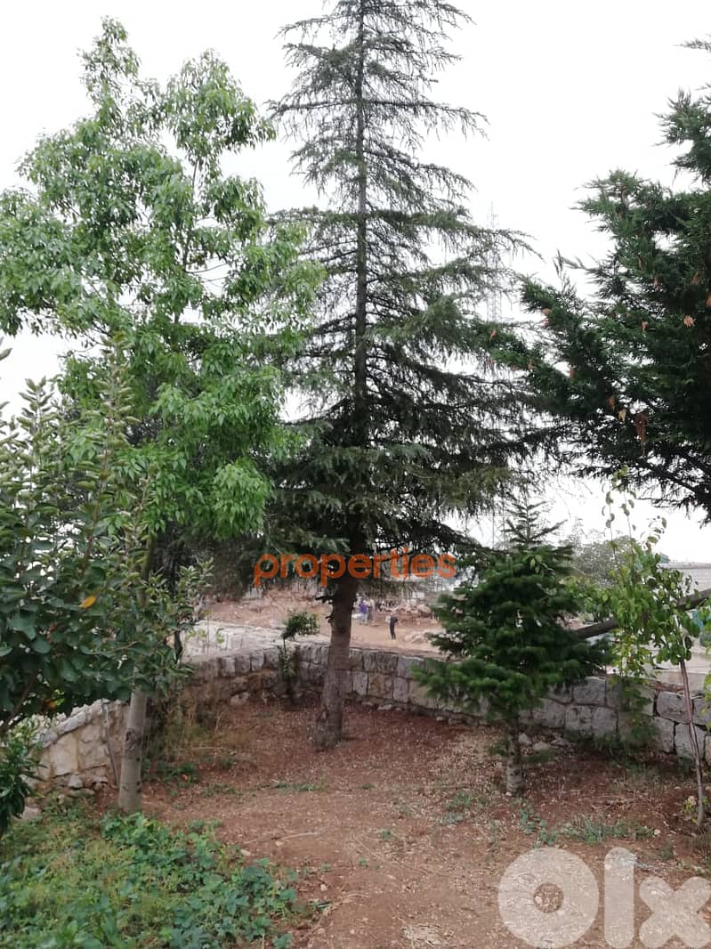 Land with an old stone house for sale in Ghineh - CPKCC21 3