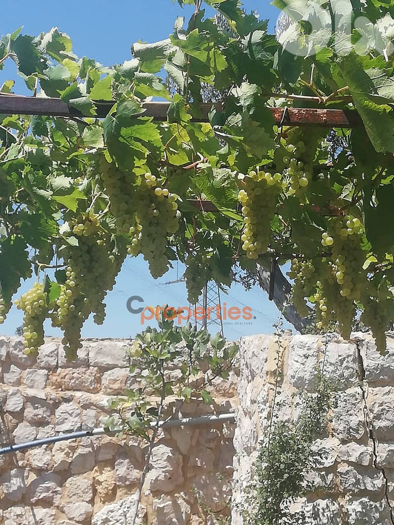 Land with an old stone house for sale in Ghineh - CPKCC21 5