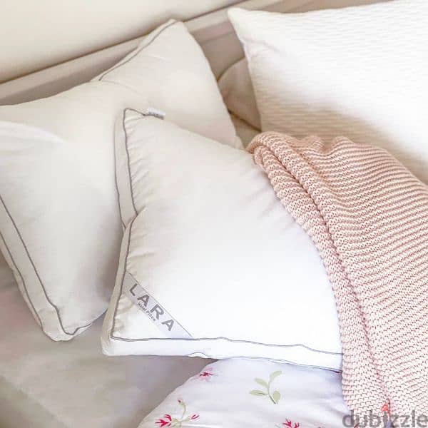 فرشات الاحلام 1