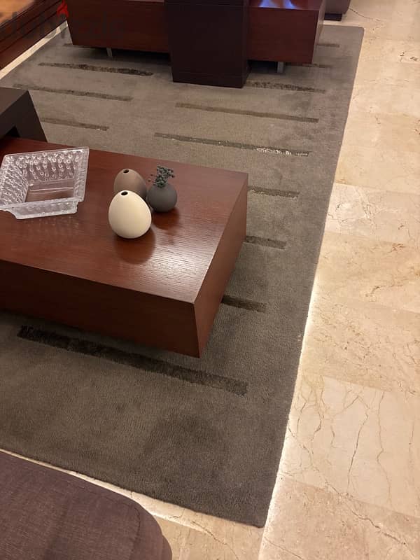 carpet 2x3 meters 1
