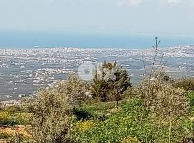 RWB140DL - Land for sale in Batroun - Darbella 1