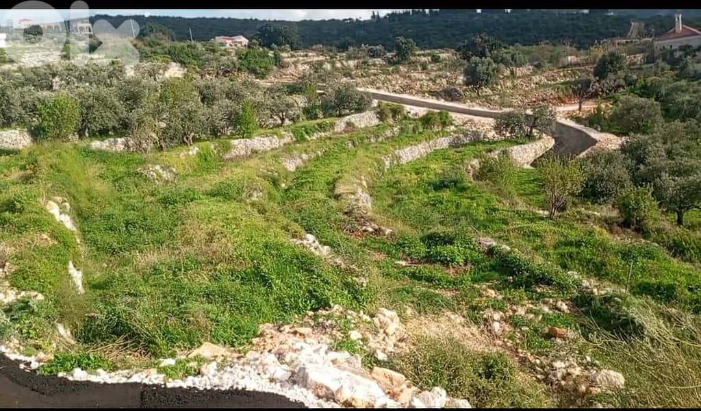 RWB141DL - Land for sale in Kfar Abida Batroun 0