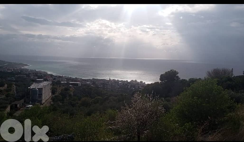 RWB141DL - Land for sale in Kfar Abida Batroun 1