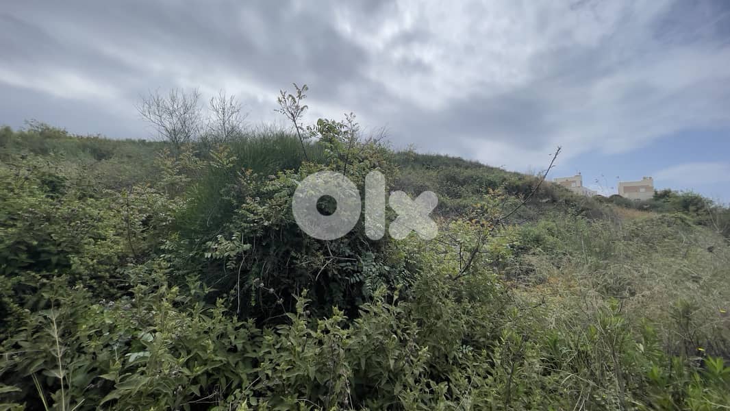 RWB233CA - Land for sale in Amchit Jbeil 2