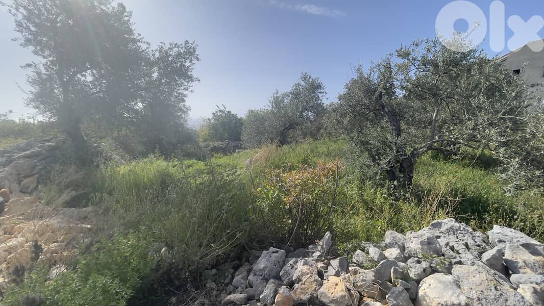 RWB234CA - Land for sale in Monsef Jbeil 1