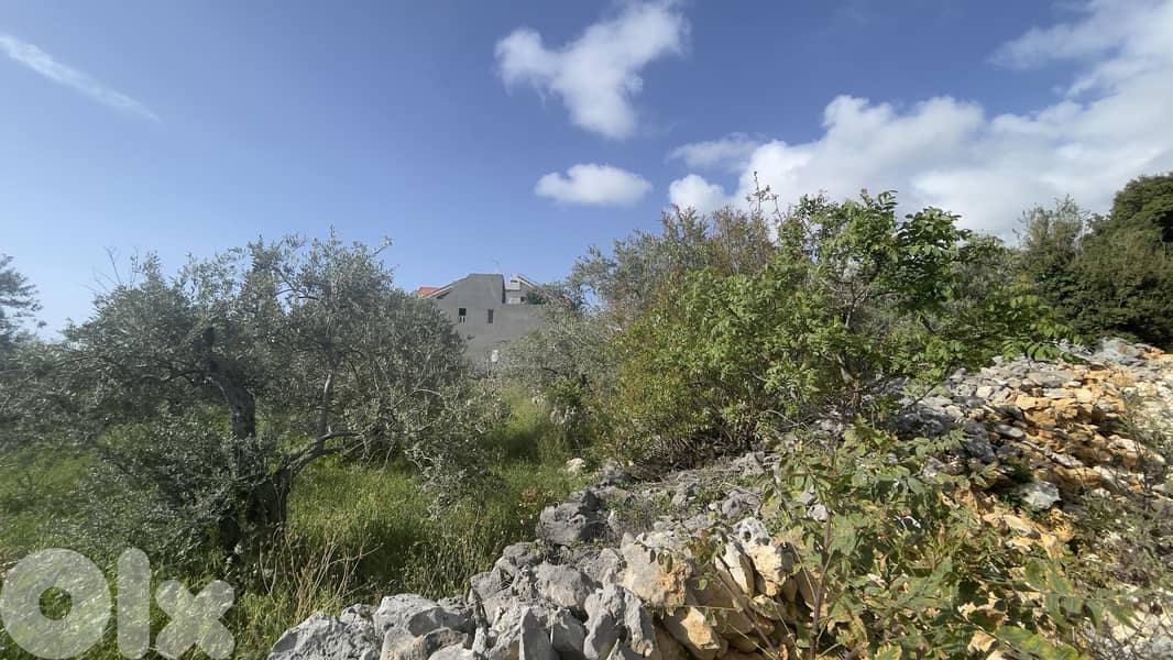 RWB234CA - Land for sale in Monsef Jbeil 2