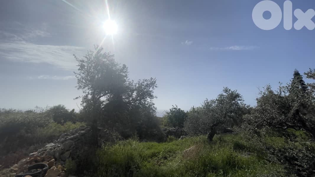 RWB234CA - Land for sale in Monsef Jbeil 3