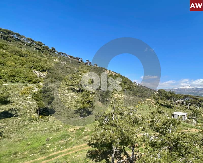calm area , Stunning Mountain Views in douar/الدوار REF#AW120392 0
