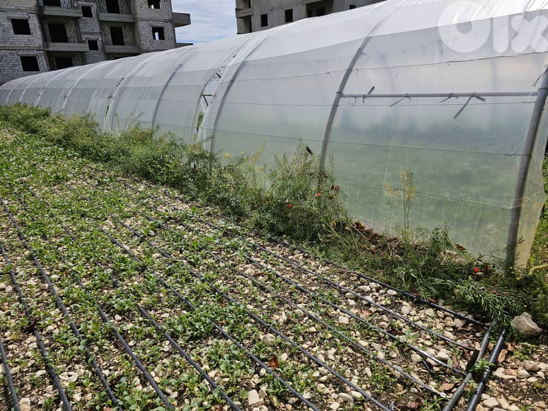 RWB301EA - Land for sale in Safra on the sea side 0