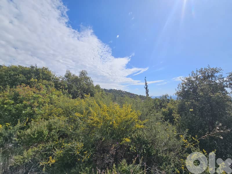 RWB302EA - Land for sale in Safra 2