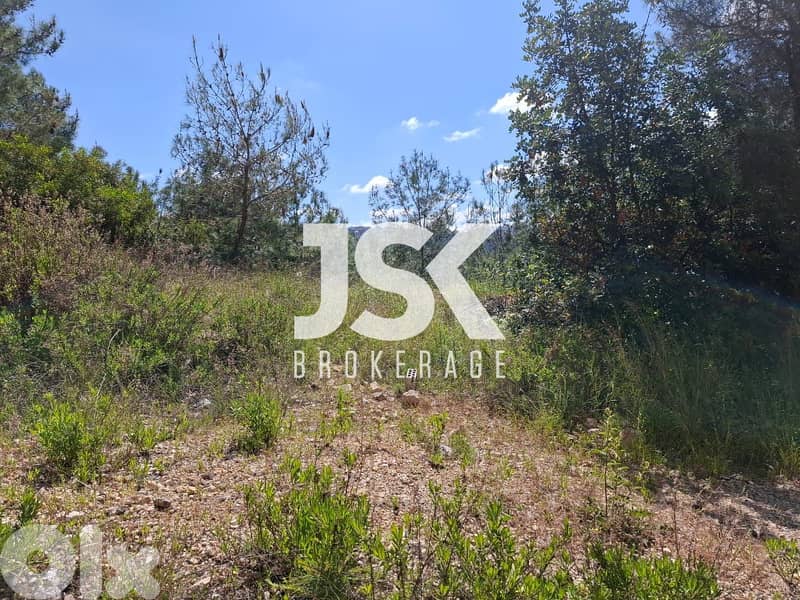 L17711 -4,200 SQM Land For Sale in Daroun 0