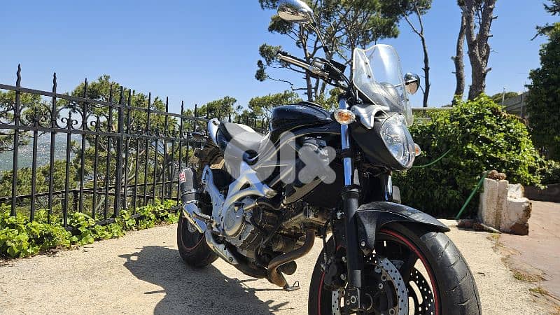 Suzuki Gladius 650 1
