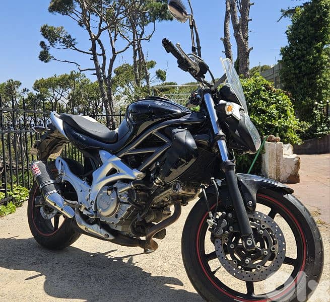 Suzuki Gladius 650 4