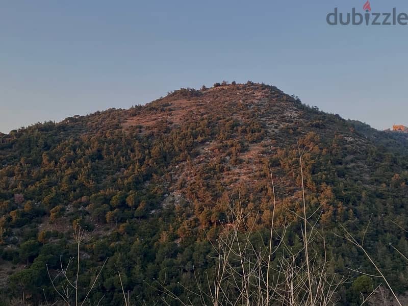 Konica Minolta x21 4