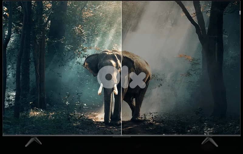 TCL 55” P8K Qled 144hz Google TV 19