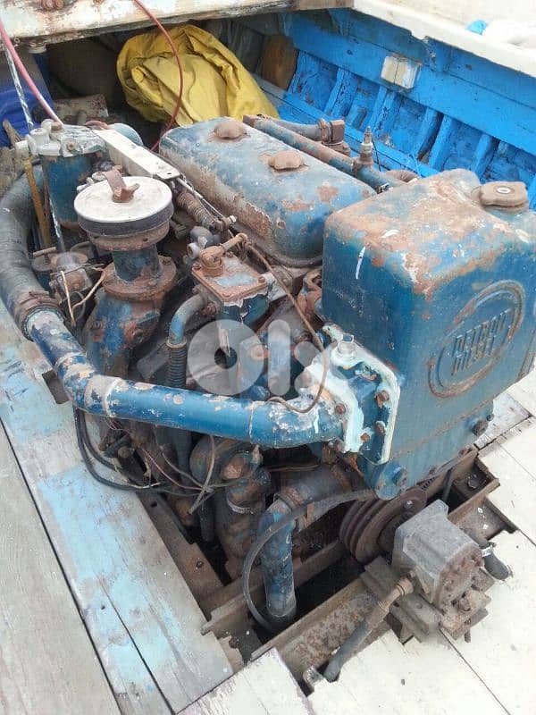 شختوره صيد سمك 1