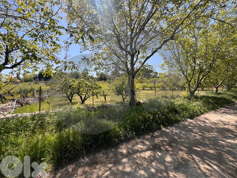 stunning views , peaceful neighborhood in aley/عاليه REF#TS120472 1