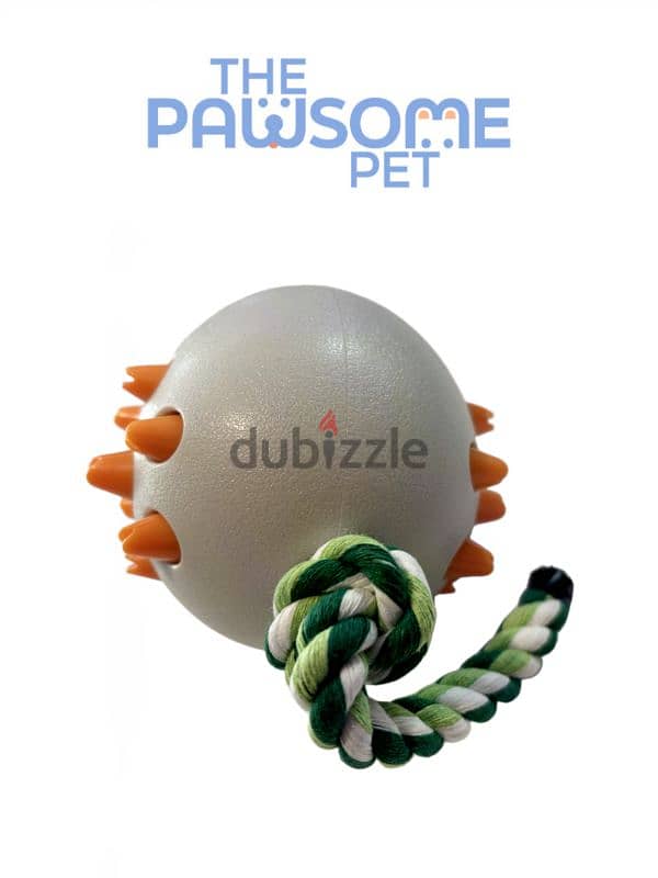 Pawsome's Dinosaur toothbrush 4