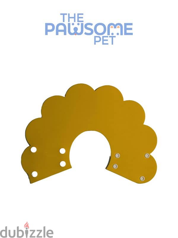 Pawsome's Elizabeth collar 1