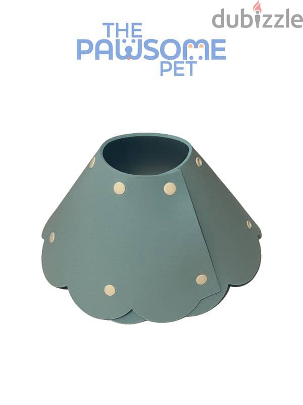 Pawsome's Elizabeth collar 2