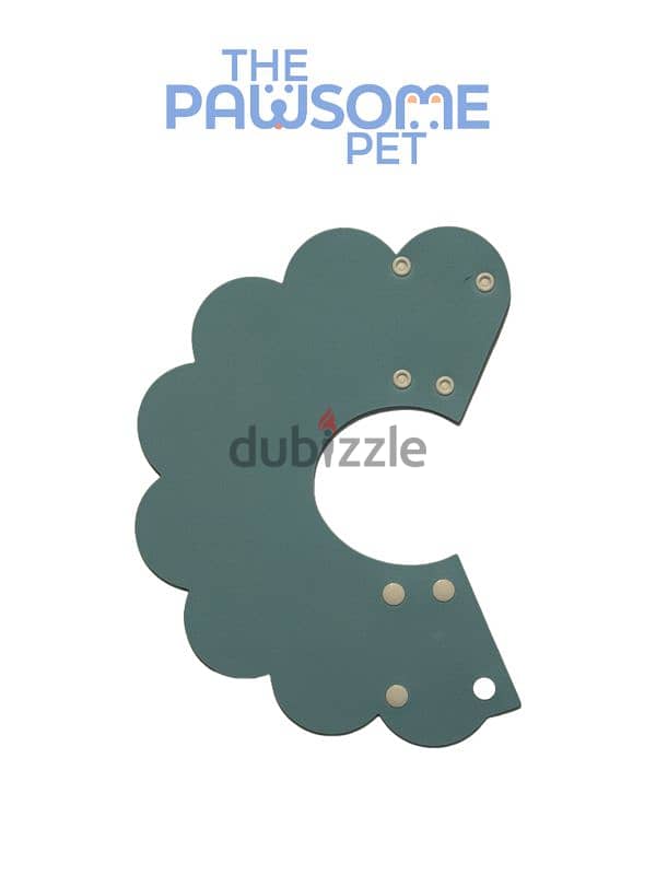 Pawsome's Elizabeth collar 4