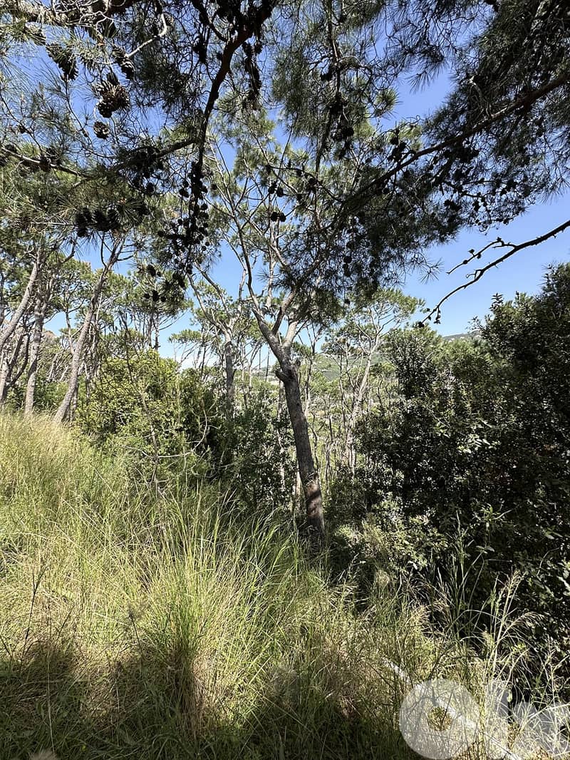 Land for Sale in Kornet Chehwan 0