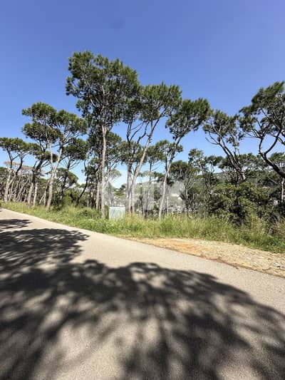 Land for Sale in Kornet Chehwan