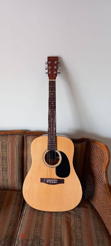 Acoustic Guitar 0