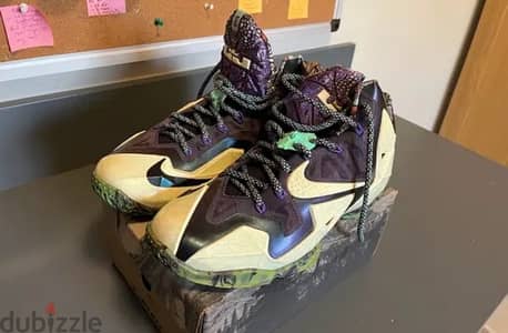 Lebron shoes