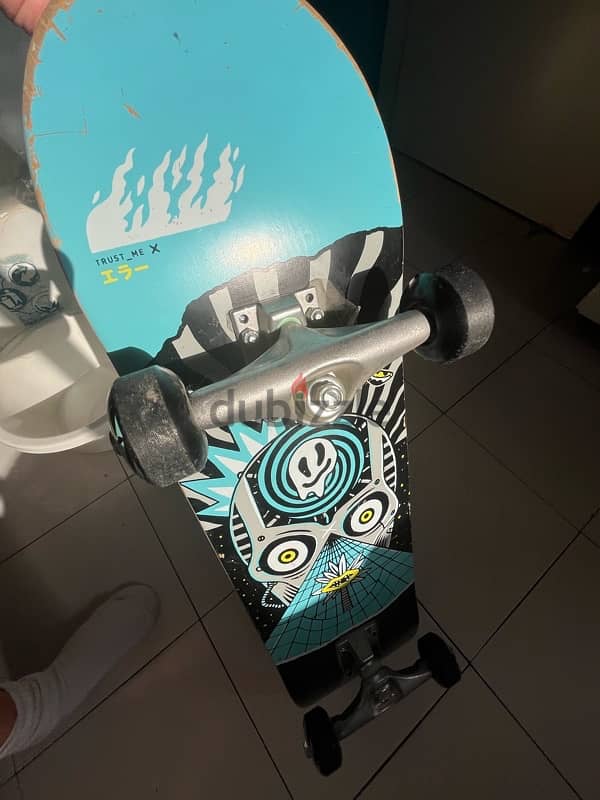 skateboard 1
