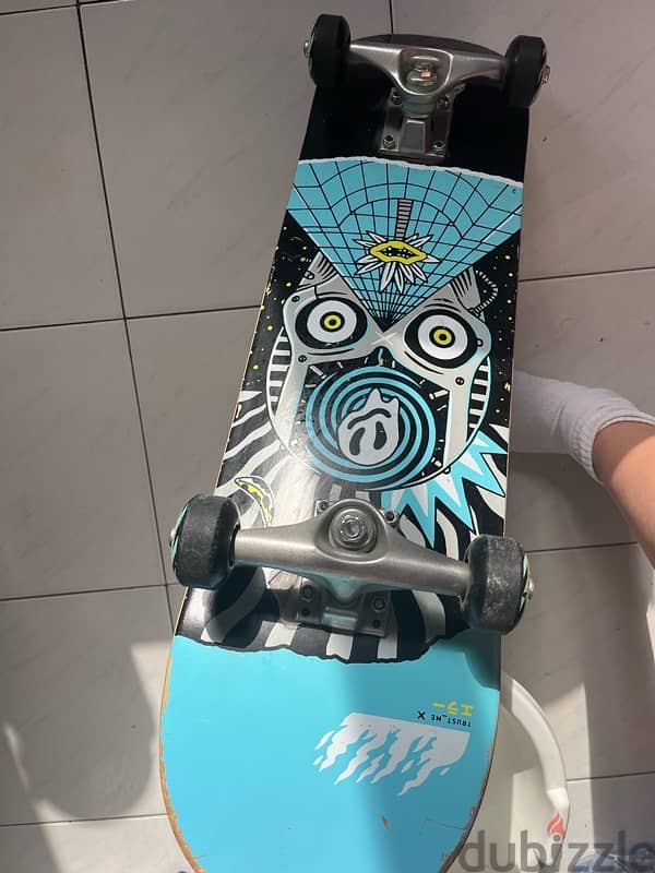 skateboard 2