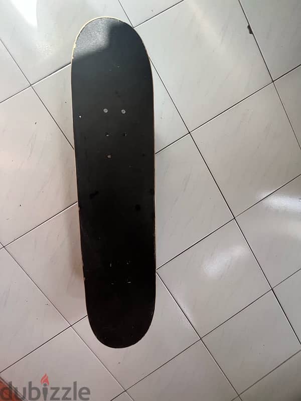 skateboard 3