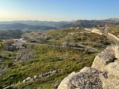 A 2690 m2 land for sale in Mtein