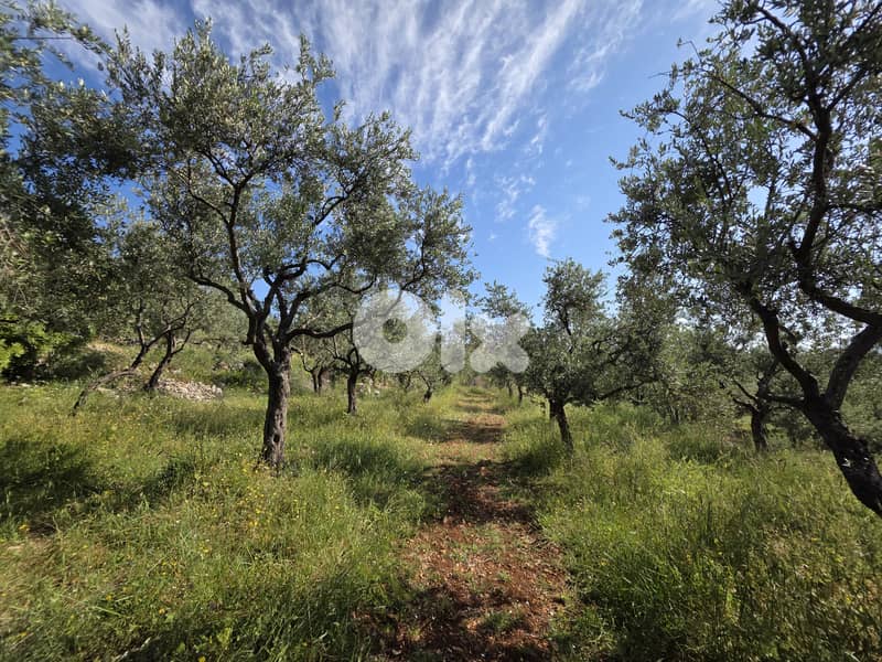 RWB127CC - Land for sale in Mejdel Koura أرض للبيع في مجدل الكورة 2