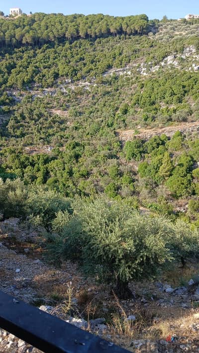 Land for sale in Chabtin - أرض للبيع في شبطين