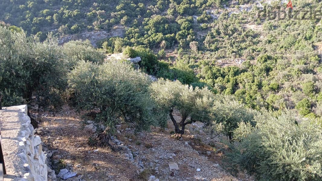 Land for sale in Chabtin - أرض للبيع في شبطين 2