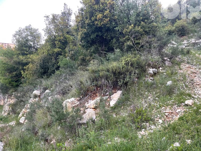 RWB158PK - Land for sale in Aannaya Jbeil 4