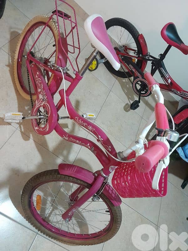 2 bicycles for 100$ ( 10 12 years) 1
