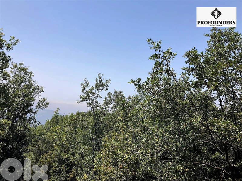Land for Sale in Kfaraakab (12mins from Baskinta) أرض للبيع غي كفرعقاب 4