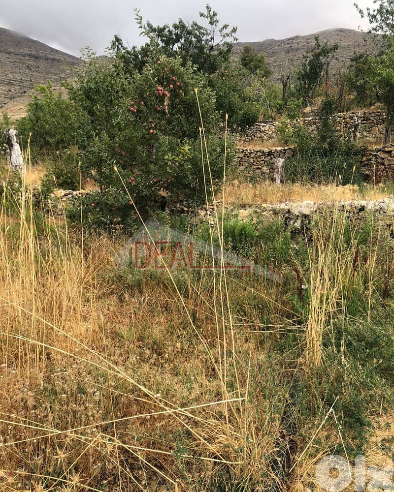 Land for sale in Faraya Keserouna عقار للبيع في فا ريا كسروان 2