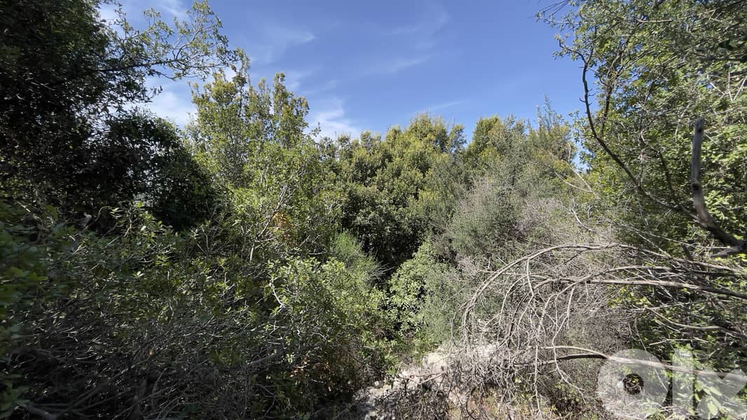 RWB238CA - Land for sale in Hbaline Jbeil 1