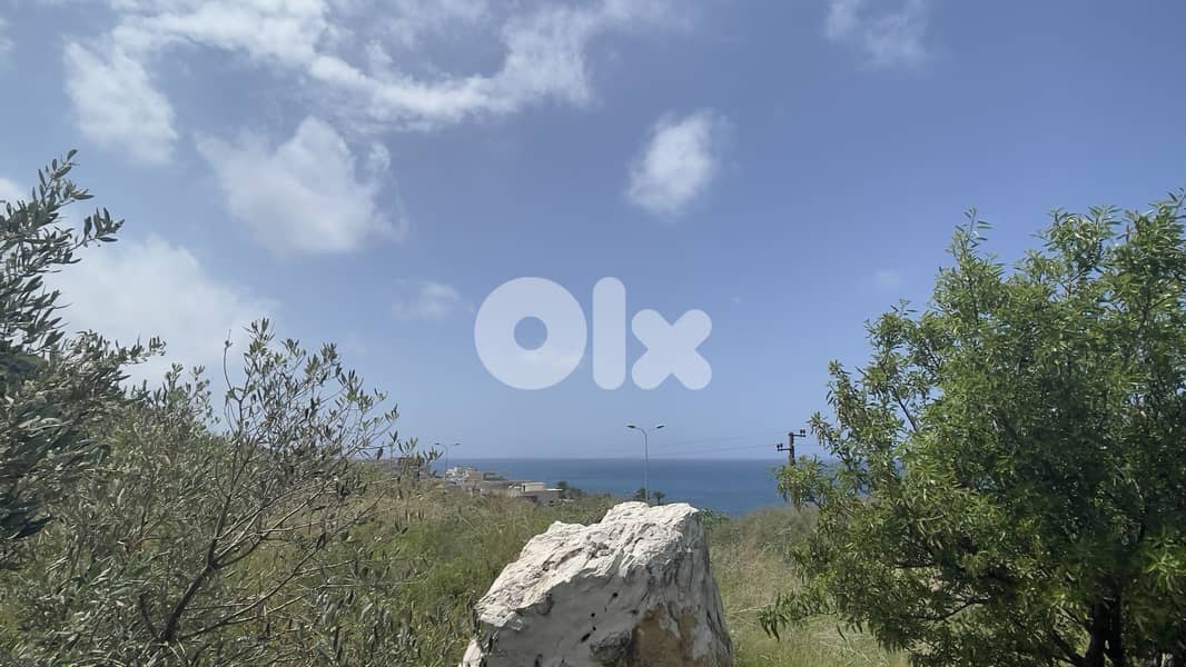 RWB242CA - Land for sale in Monsef Jbeil 2