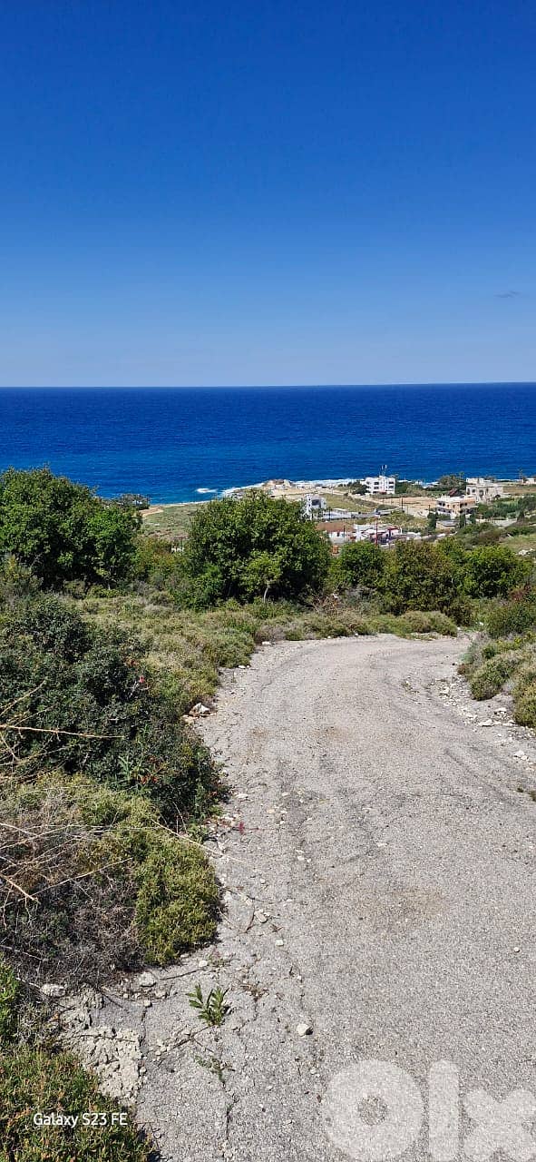 RWB242CA - Land for sale in Monsef Jbeil 4