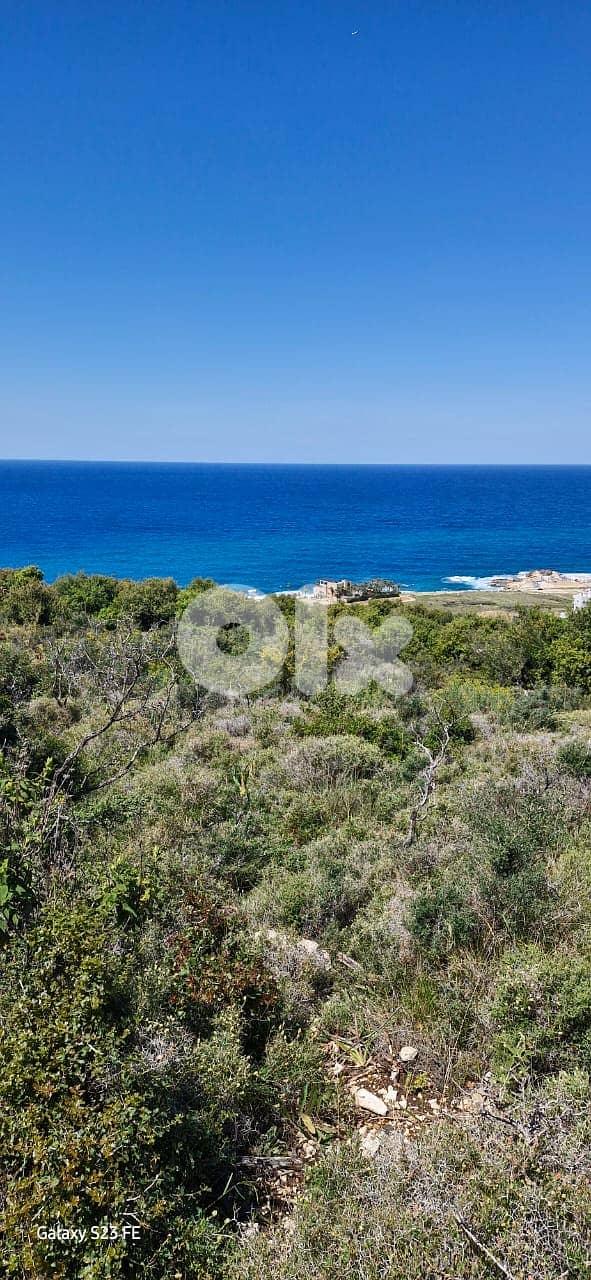 RWB242CA - Land for sale in Monsef Jbeil 5